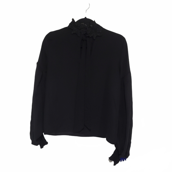 Zara Basic High Neck Ballon sleeves sheer Blact Top Size Small - Picture 2 of 13